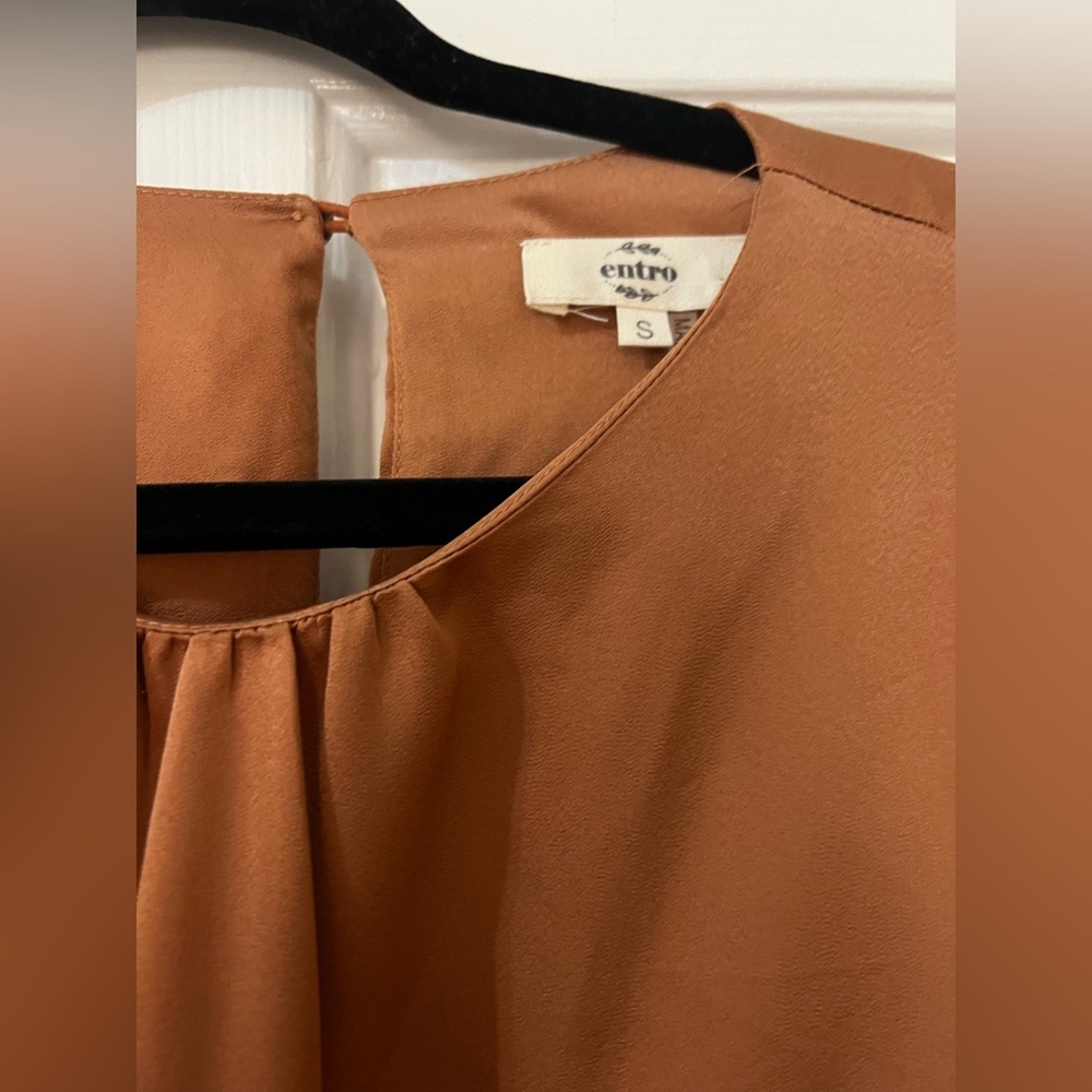 Entro Rust Brown Satin Long Sleeve dress - Picture 2 of 5